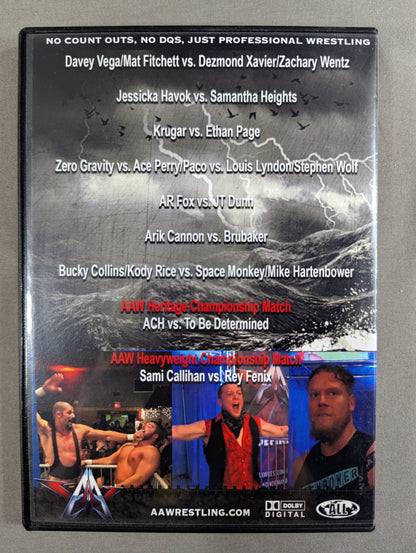 AAW THE CHAOS THEORY 2017