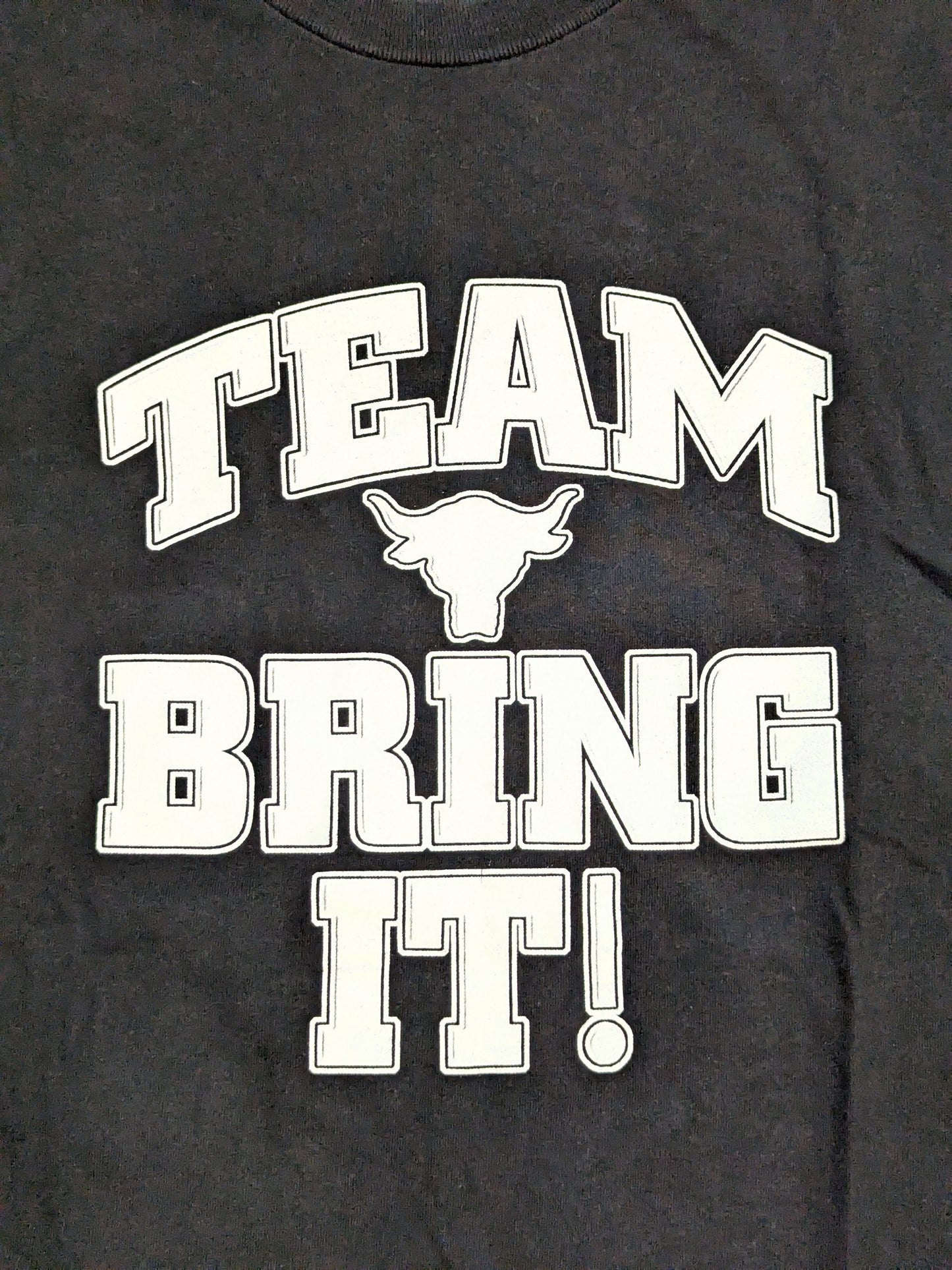 ザ・ロック「TEAM BRING IT!」Tシャツ(WWF(2001) / ブラック)