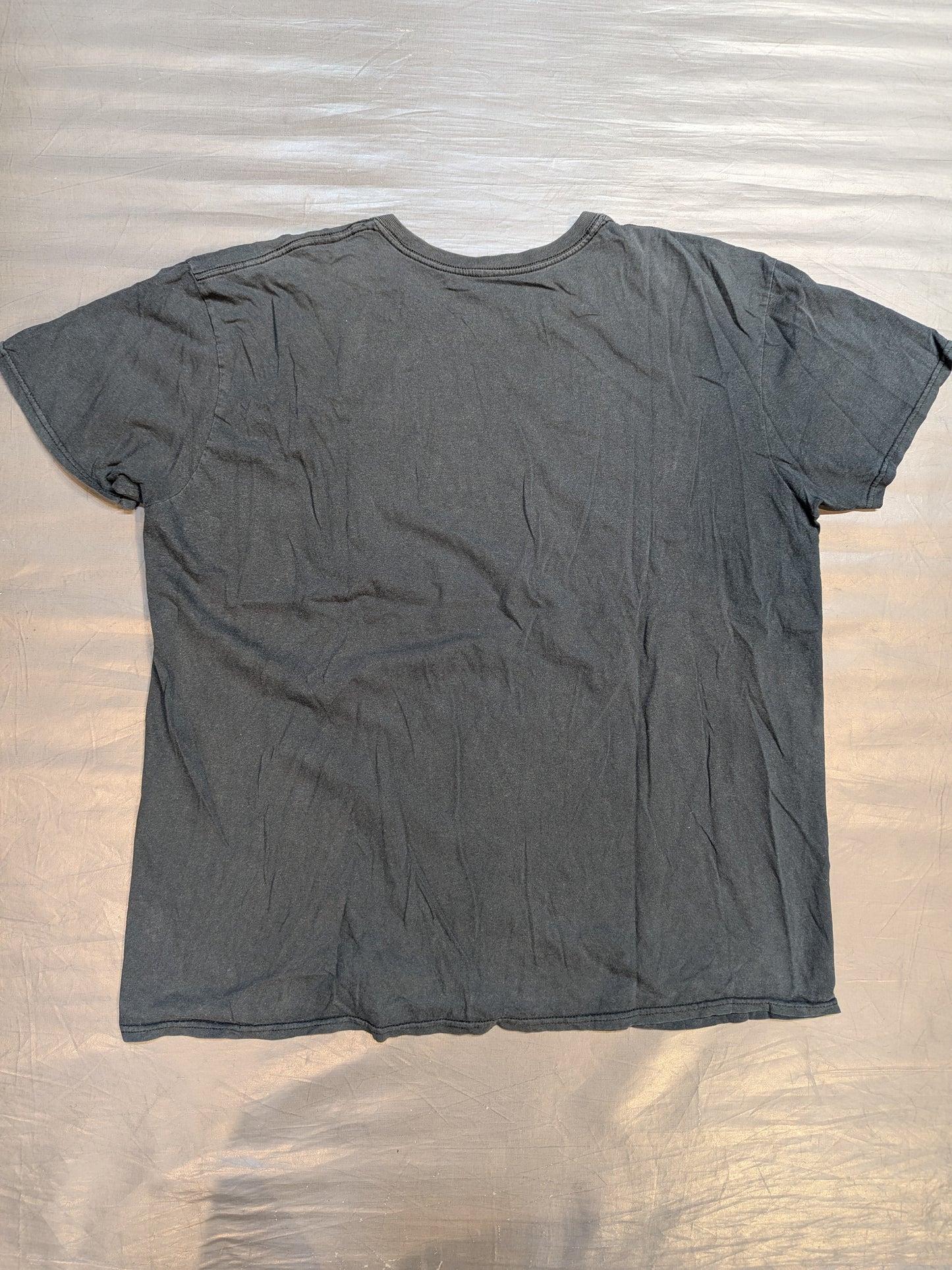 RAW Picture T-Shirt (1) (WWE (2015) / Black)