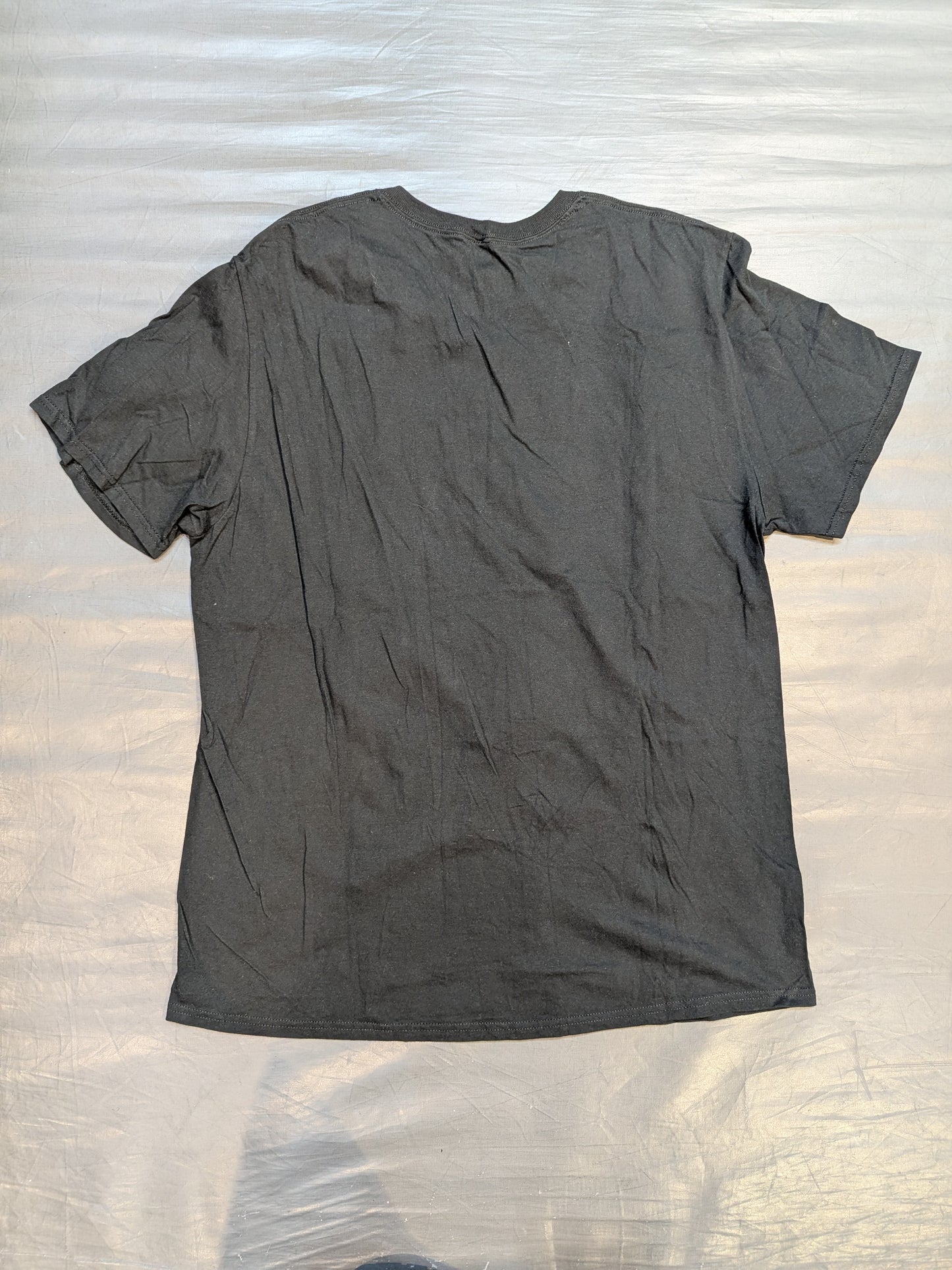 NIGHT OF CHAMPIONS 2023 Picture T-Shirt (WWE (2023) / Black)