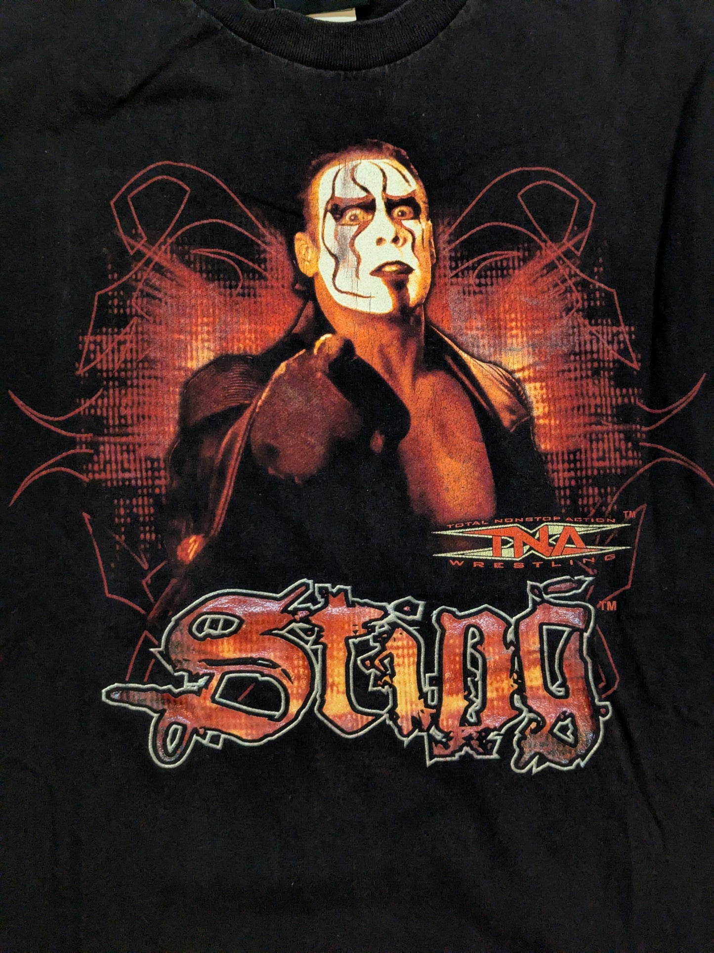 Sting Picture T-Shirt (Black)