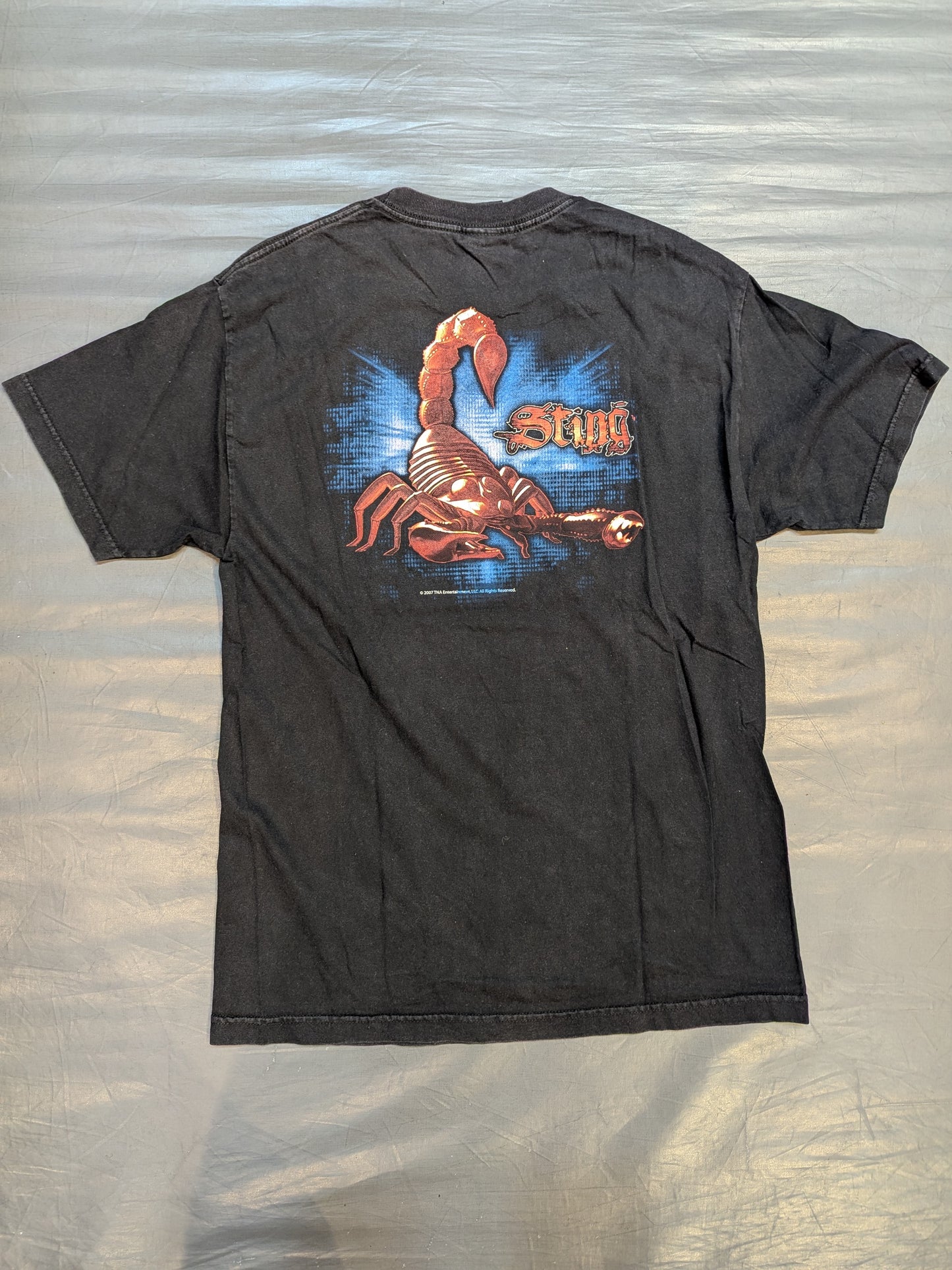 Sting Picture T-Shirt (Black)