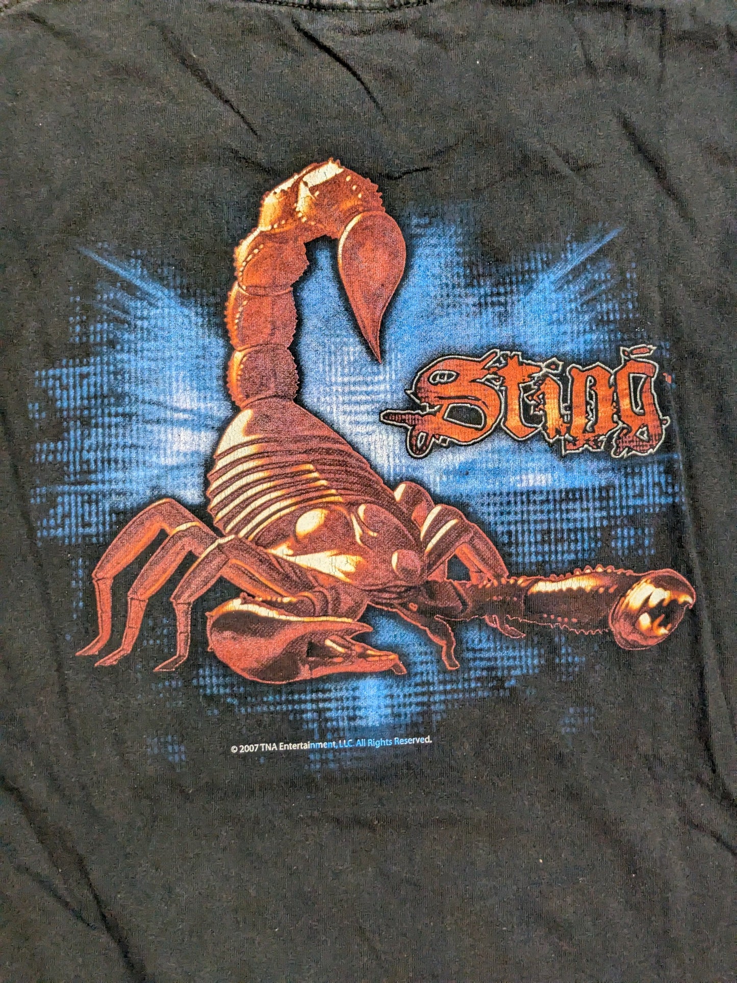 Sting Picture T-Shirt (Black)