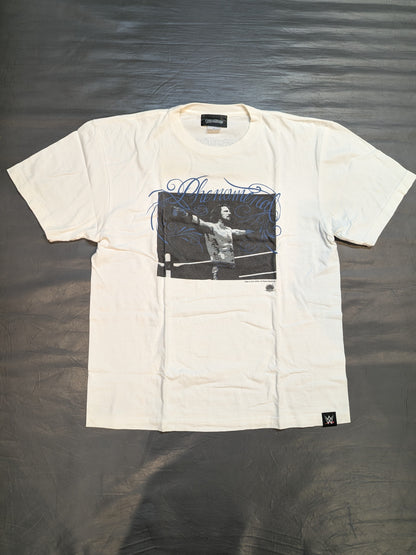 AJ Styles ×TWOPLATOONS Collaboration T-Shirt (1) (WWE (2016) / White × Blue)