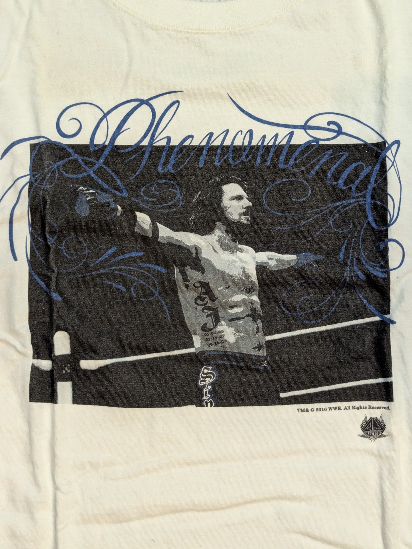 AJ Styles ×TWOPLATOONS Collaboration T-Shirt (1) (WWE (2016) / White × Blue)