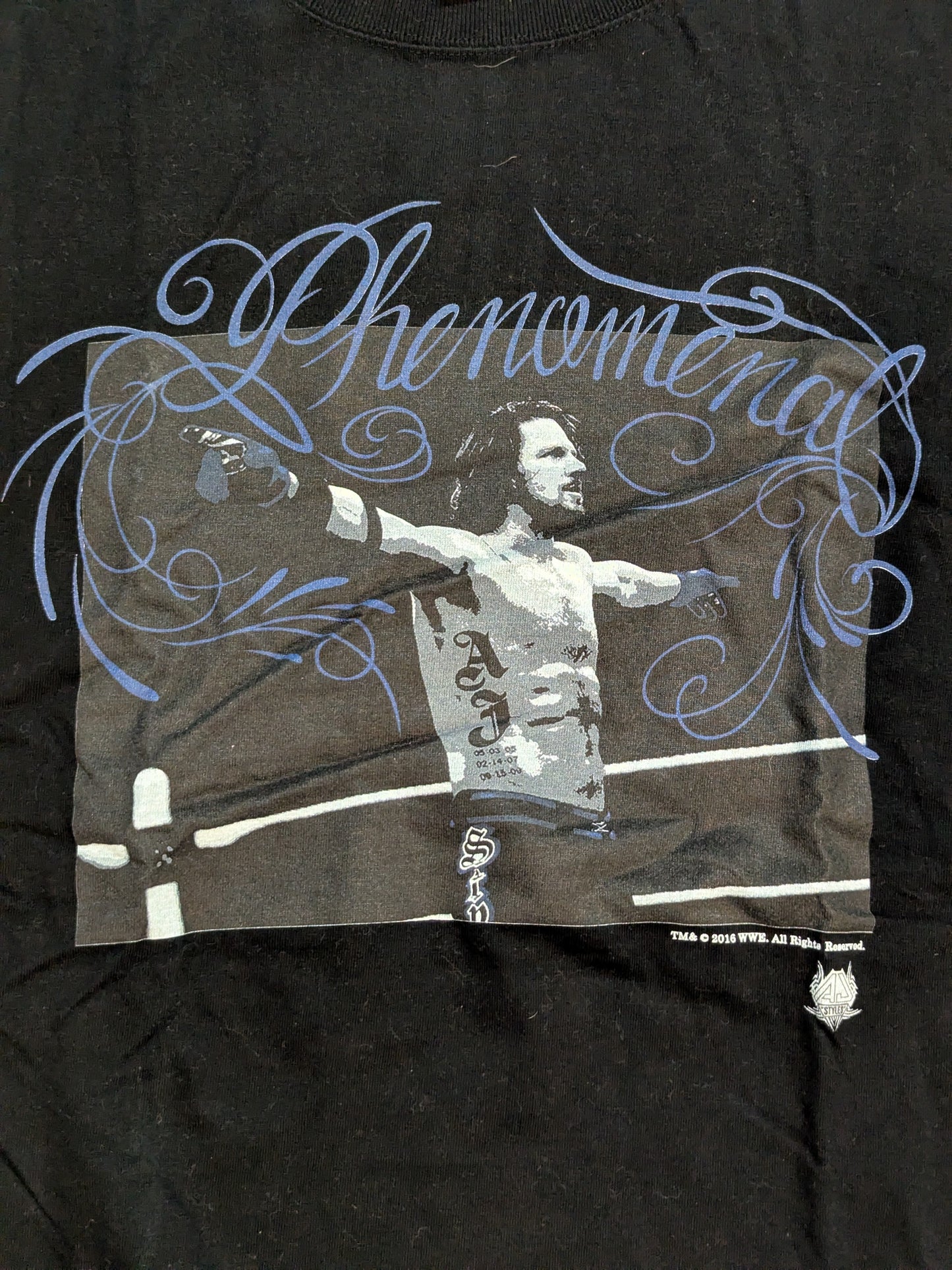 AJ Styles ×TWOPLATOONS Collaboration T-Shirts (3) (WWE (2016) / Black × Blue)