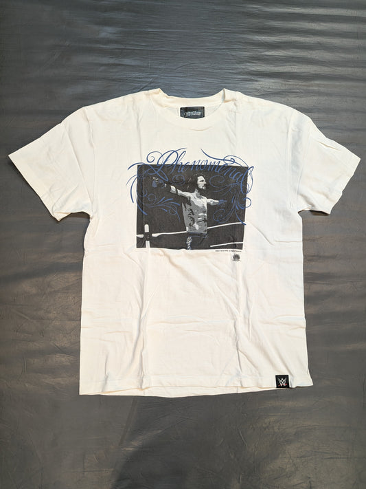 AJスタイルズ×TWOPLATOONS コラボTシャツ④(WWE(2016) / ホワイト×ブルー)