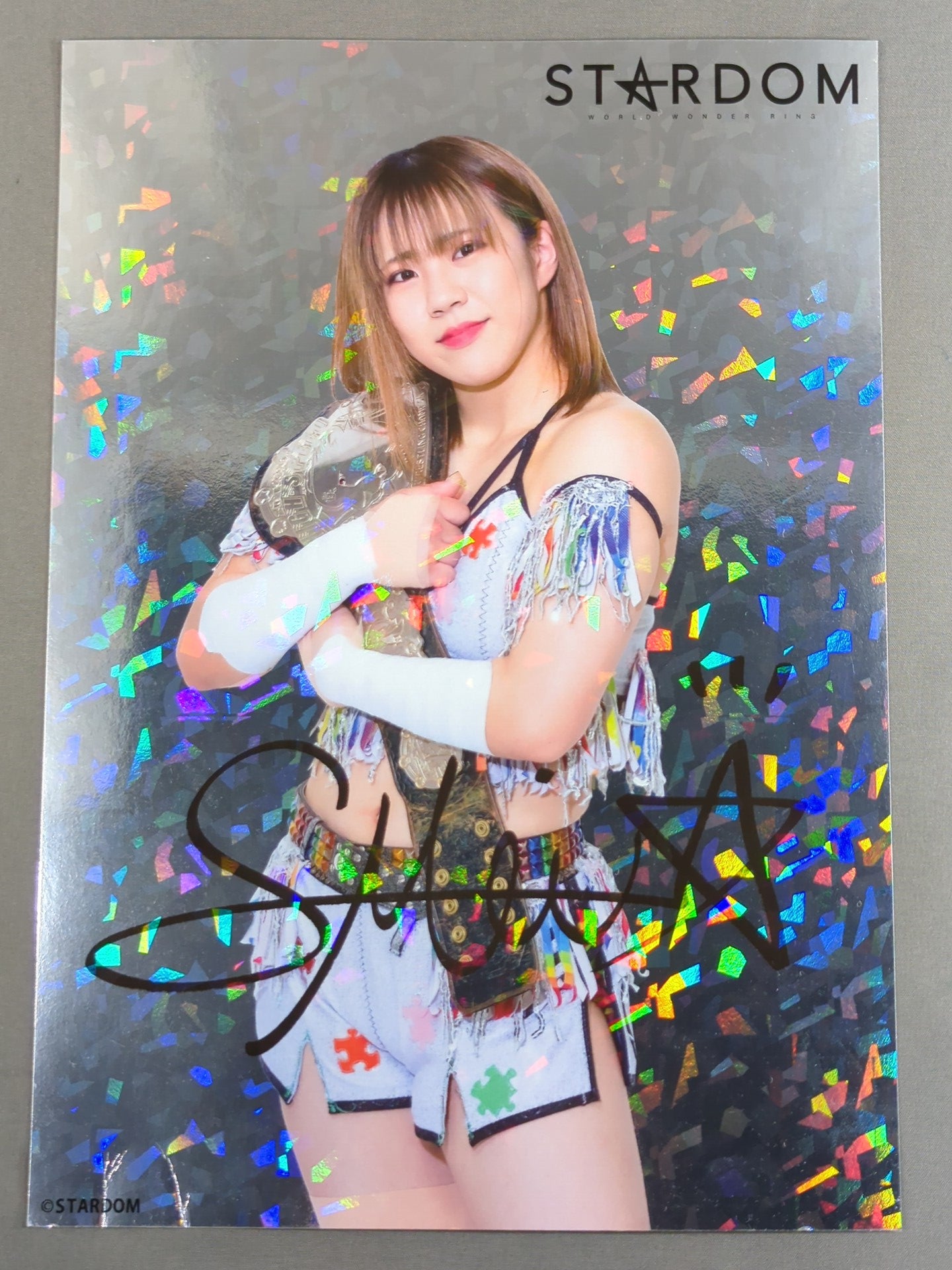 MEI SEIRA  Glitter Pro-Photo (A-2)