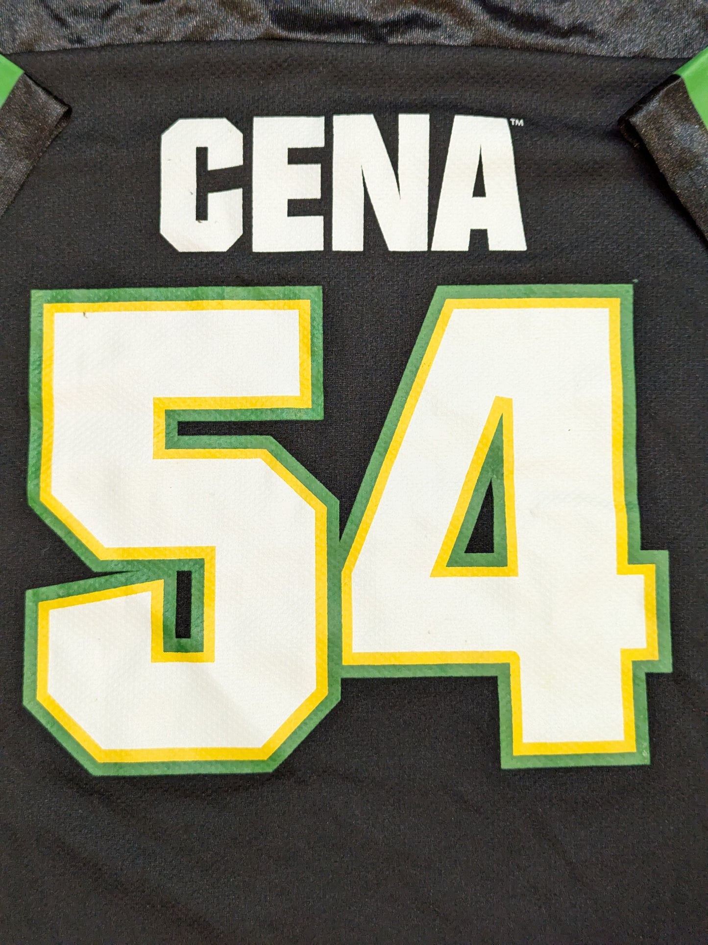 John Cena  Hockey Jersey (1) (WWE (2000s) / Black × Green)
