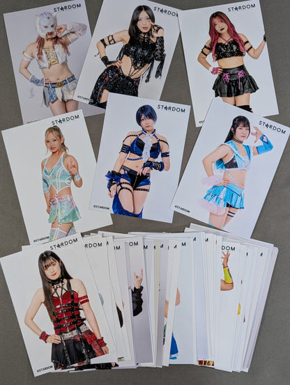 Stardom Profile photo photo  All fighters Set 2025