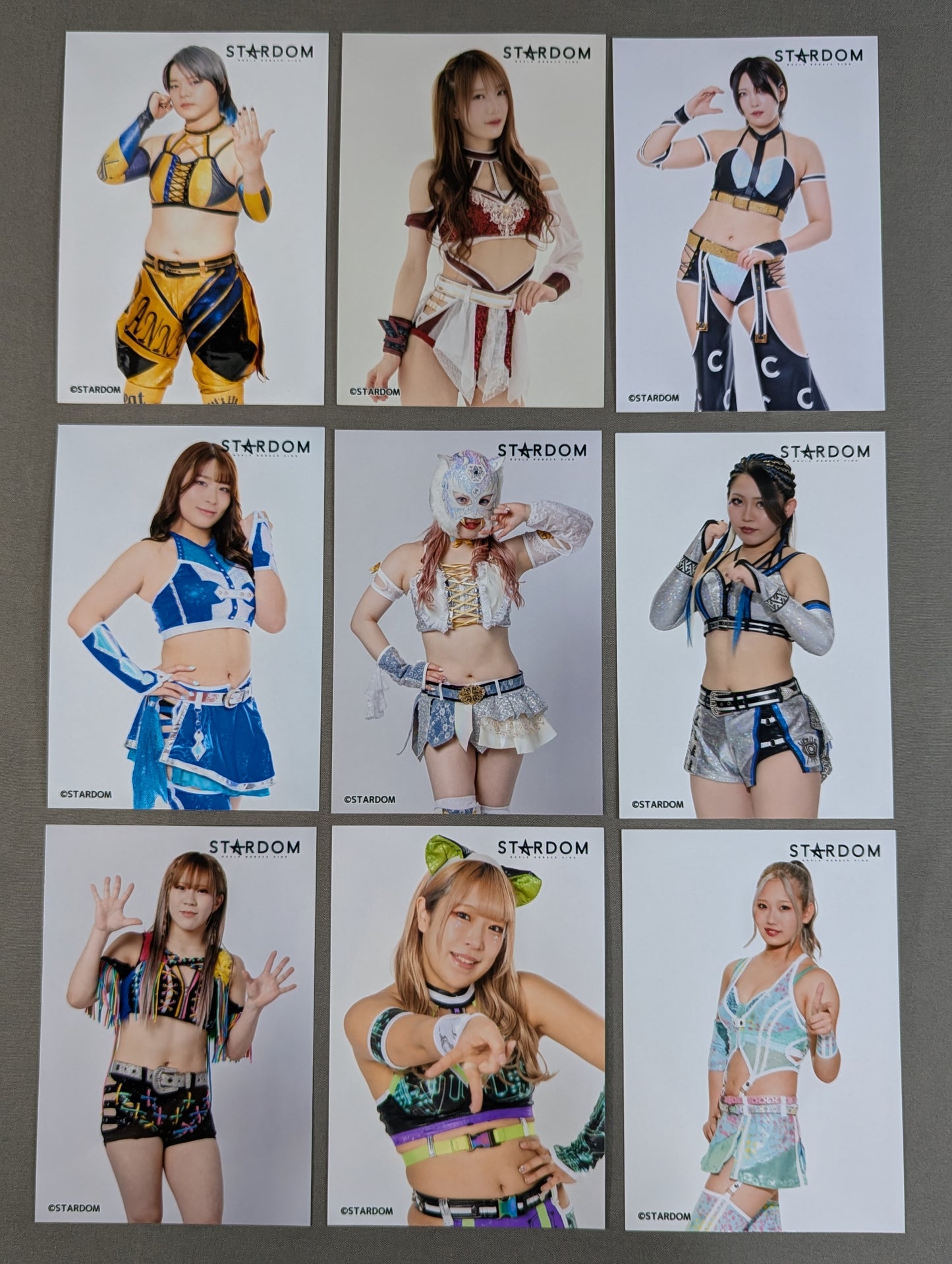 Stardom Profile photo photo  All fighters Set 2025