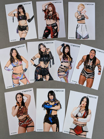 Stardom Profile photo photo  All fighters Set 2025