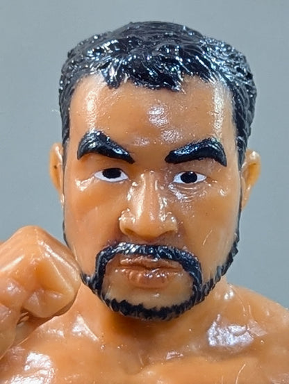 Shiro Koshinaka  (白袴)