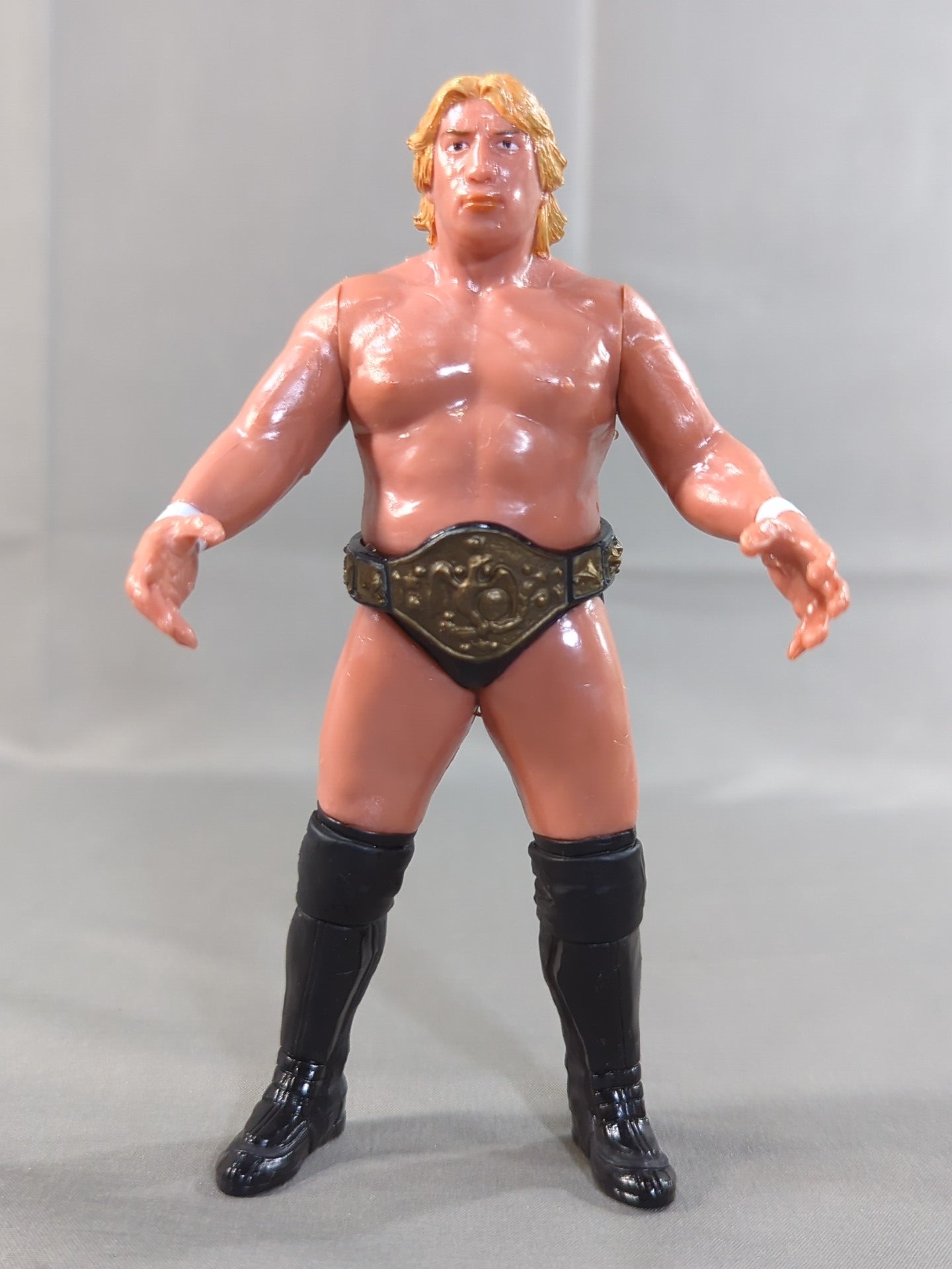 Yoshihiro Takayama  (NWF belt)