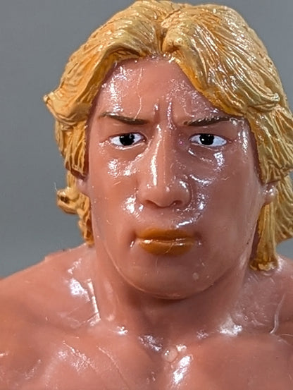 Yoshihiro Takayama  (NWF belt)