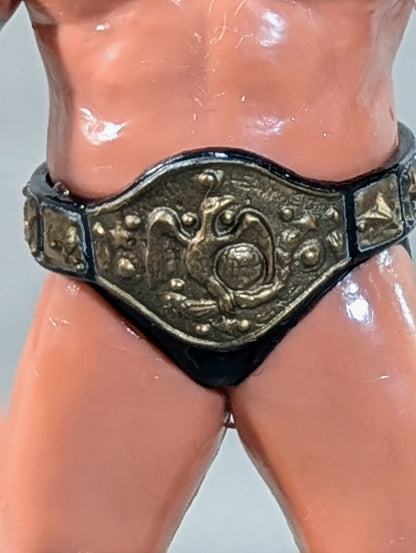 Yoshihiro Takayama  (NWF belt)