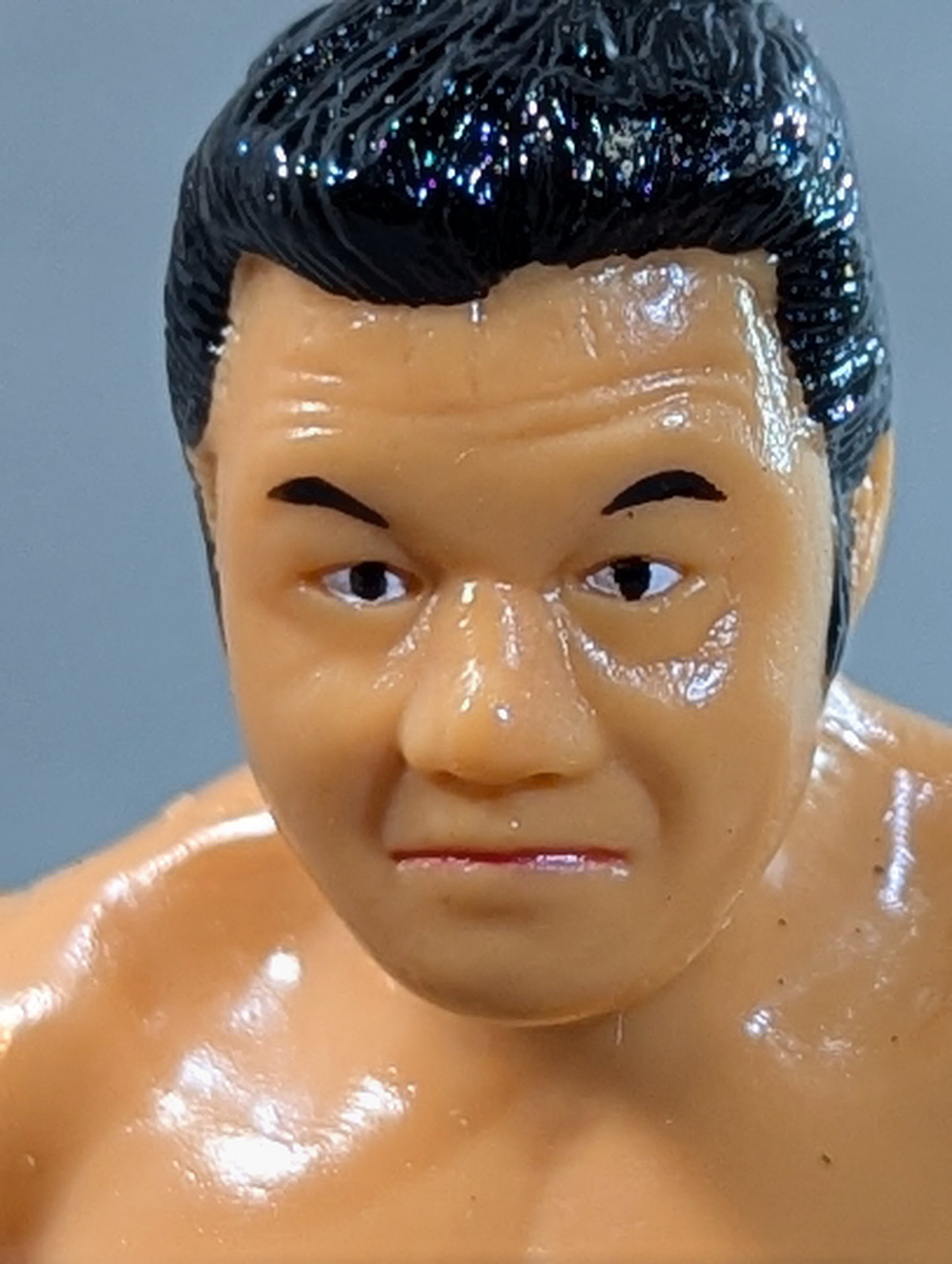 Tatsumi Fujinami 