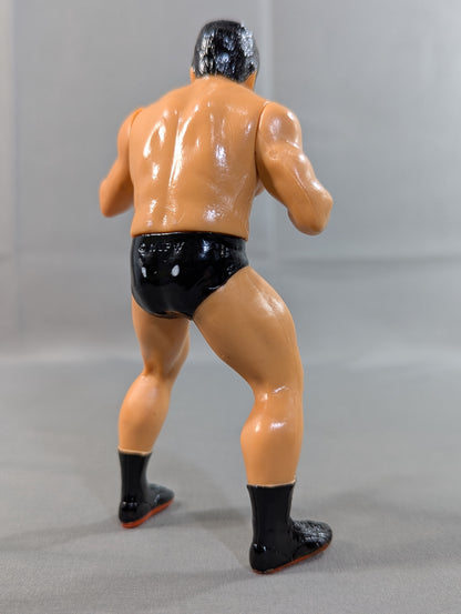 Tatsumi Fujinami 