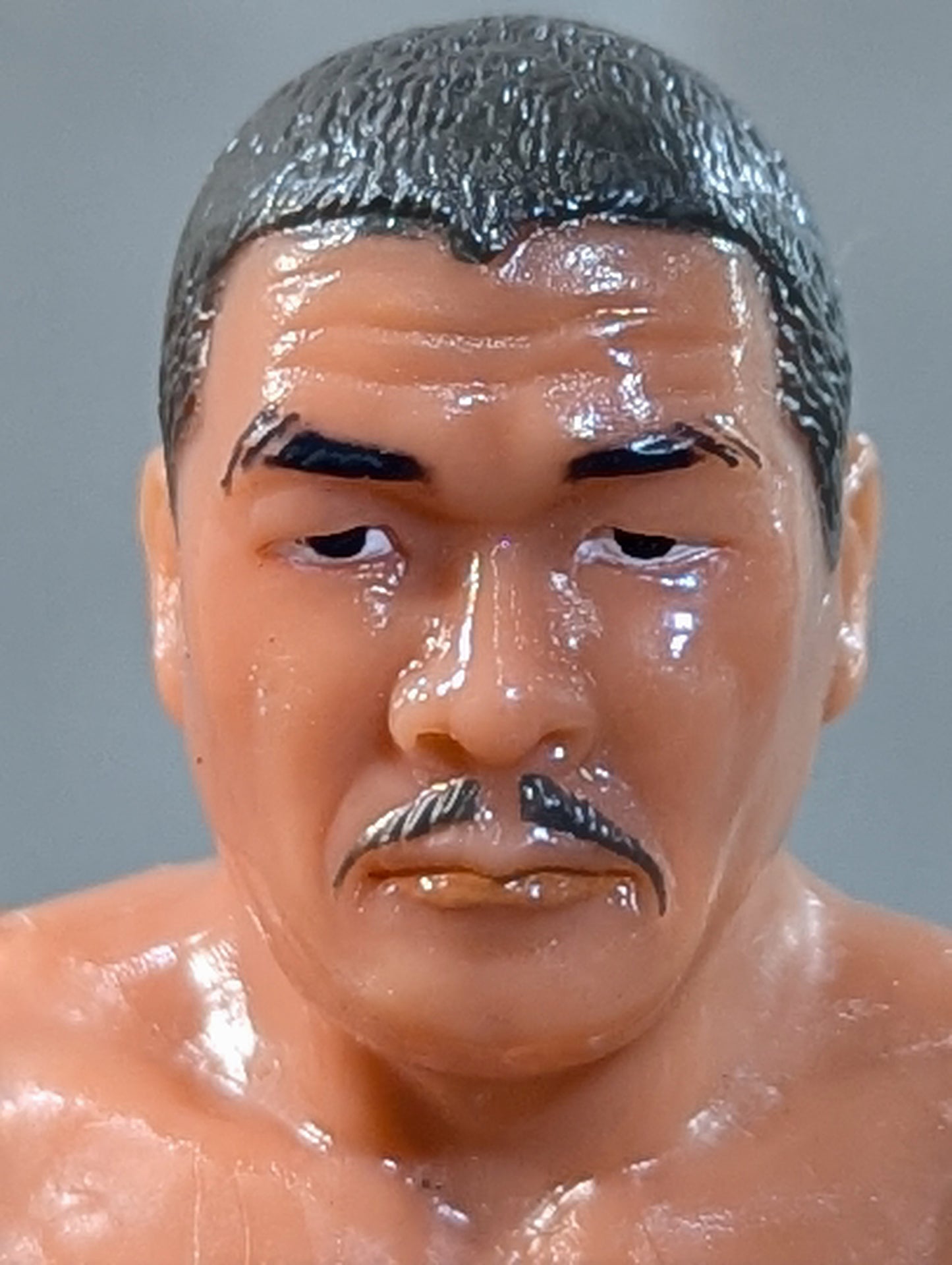 Yoshiaki Fujiwara  (Ring Shoes)