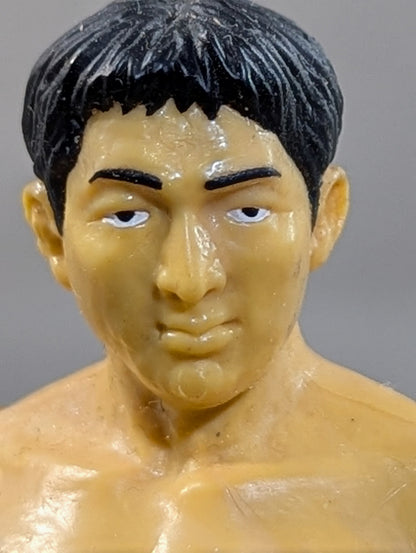 Shinjiro Otani 