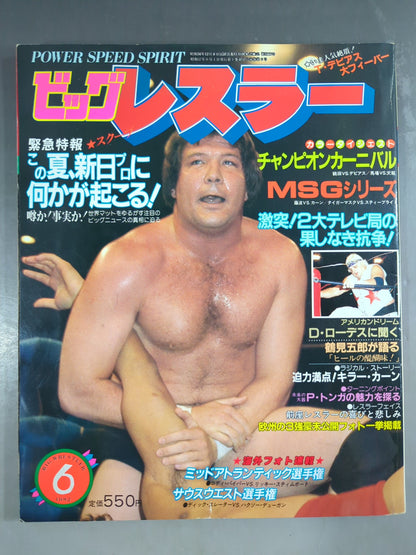 月刊ビッグレスラー 1982年6月号