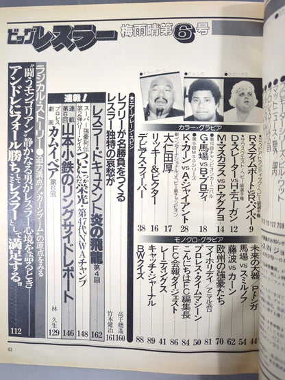 月刊ビッグレスラー 1982年6月号