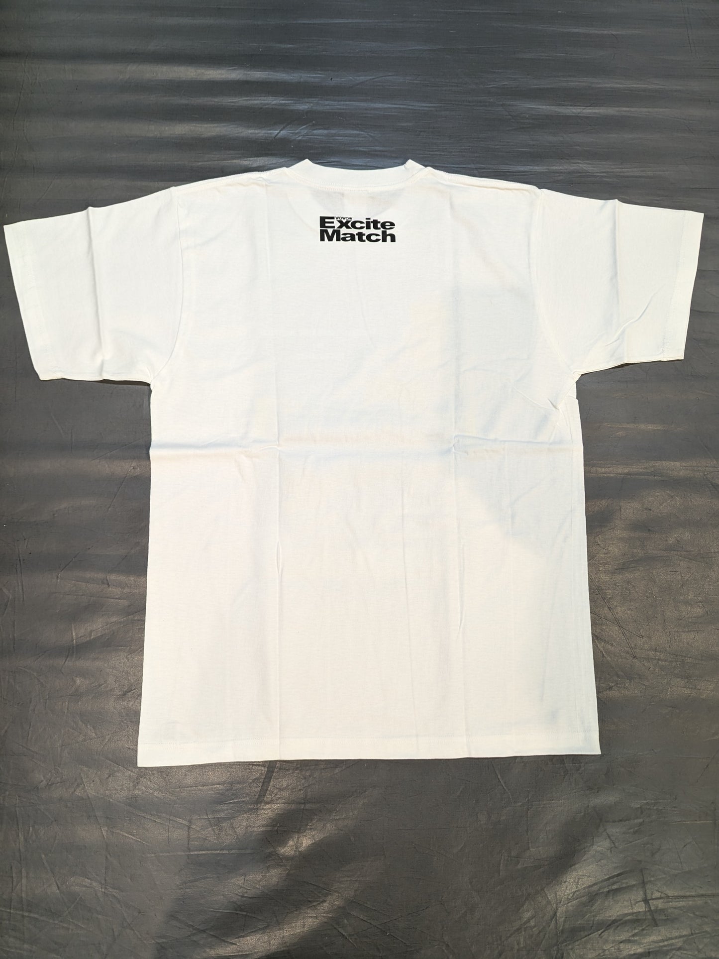 2009年10月10日 西岡利晃vsイバン・エルナンデス ピクチャーTシャツ②(ホワイト)