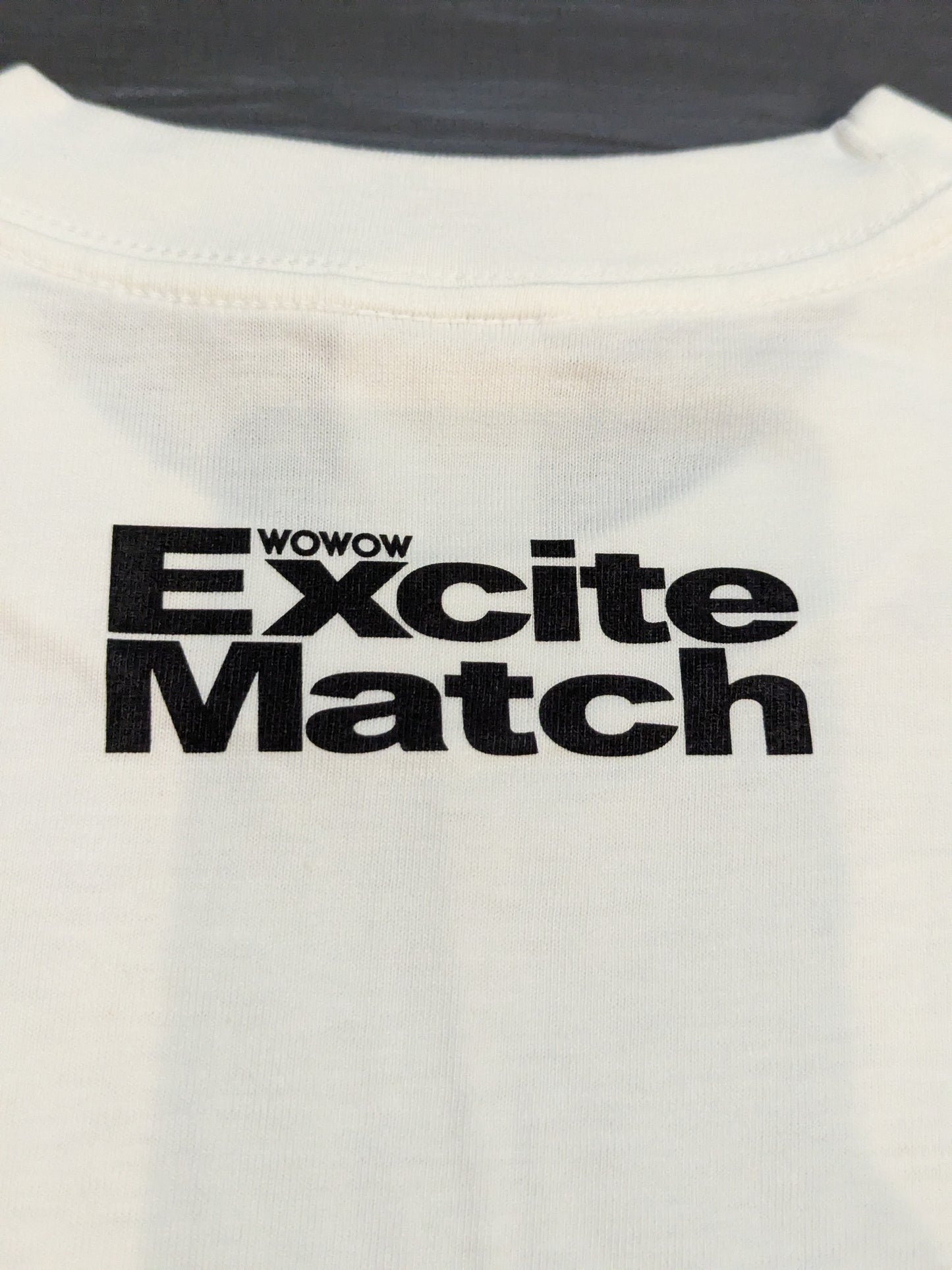 2009年10月10日 西岡利晃vsイバン・エルナンデス ピクチャーTシャツ②(ホワイト)