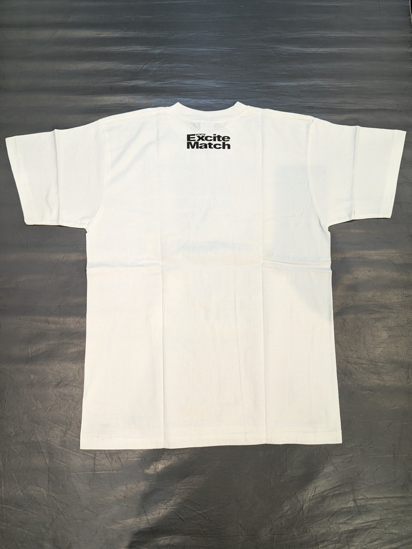 2009年10月10日 西岡利晃vsイバン・エルナンデス ピクチャーTシャツ③(ホワイト)