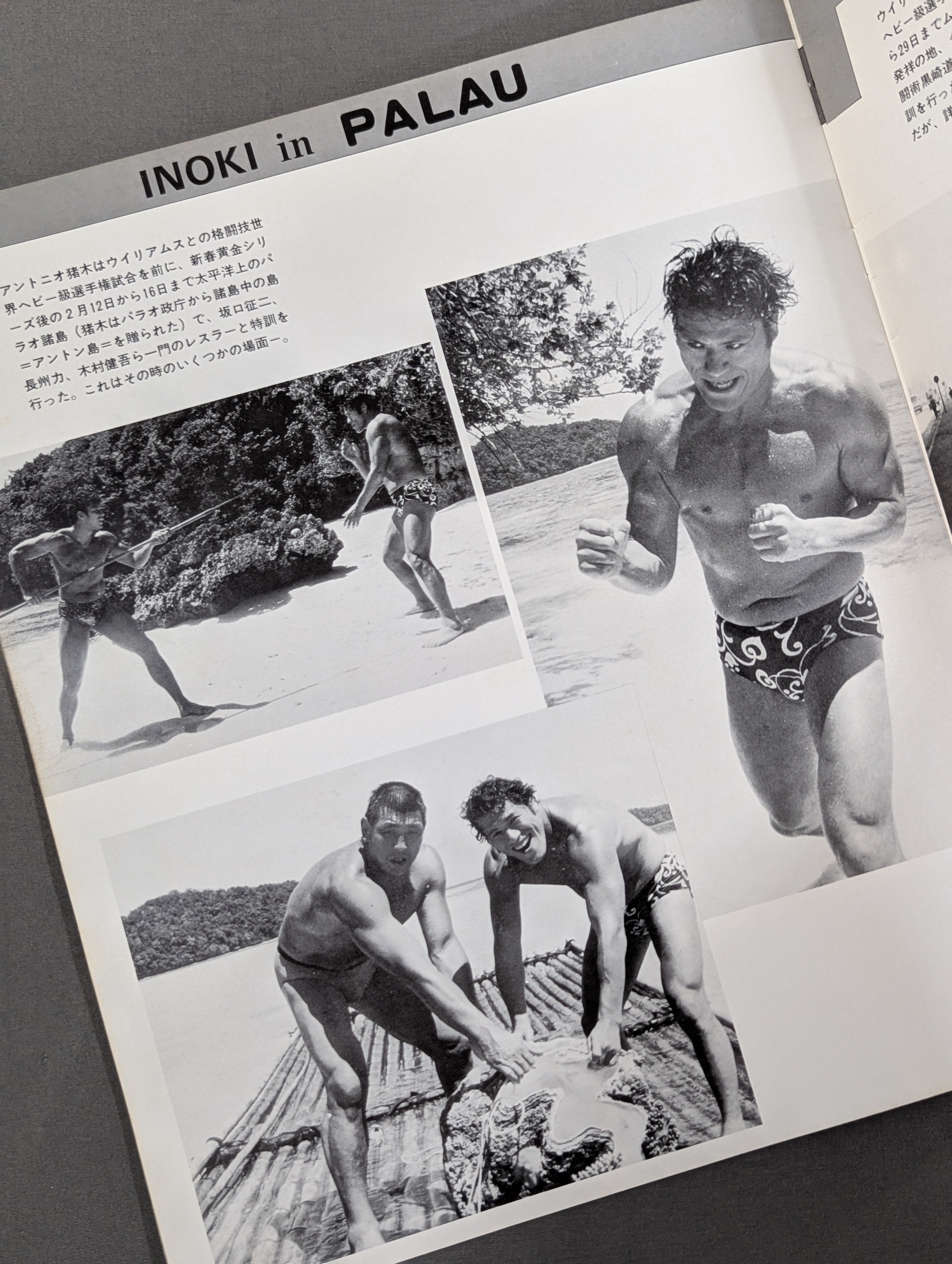 ☆猪木vsウイリー・ウィリアムス☆ 格闘技世界ヘビー級選手権試合 – 闘道館