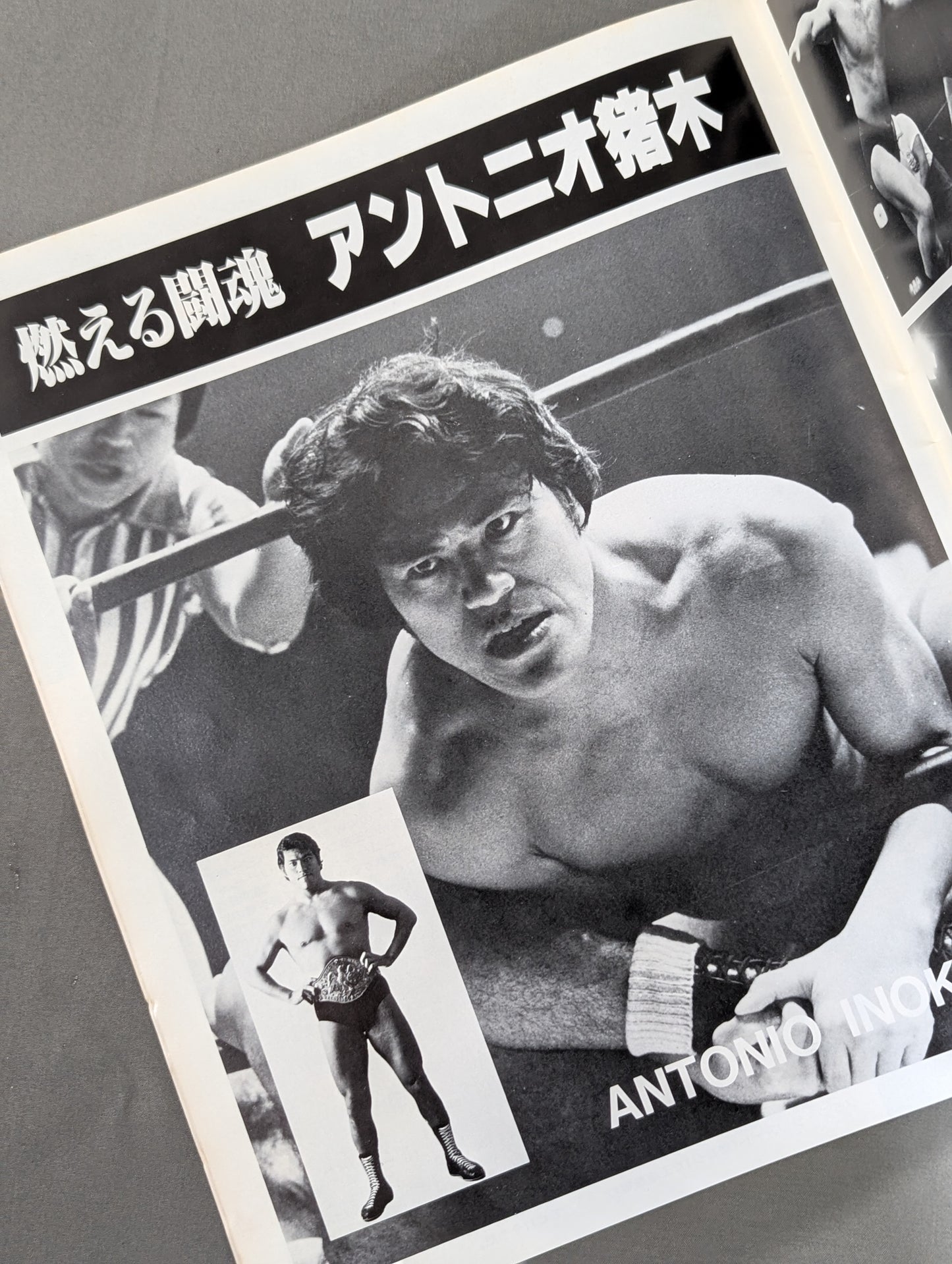 80ブラディ・ファイト・シリーズ