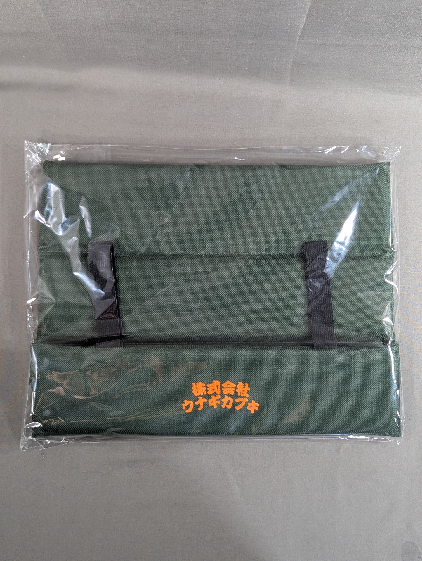 Eel Kabuki Co., Ltd. Cushion