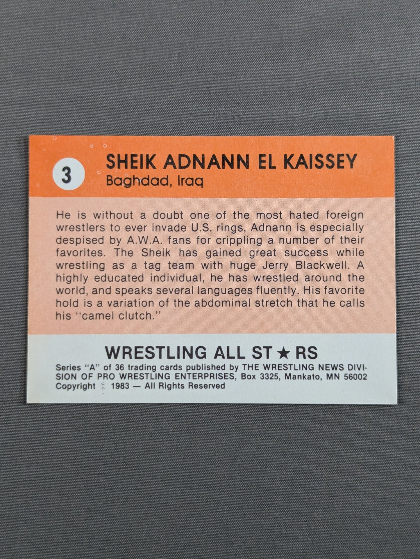 ★1983 WRESTLING ALL STARS Series A★ シーク・アドナン・エル・ケイシー