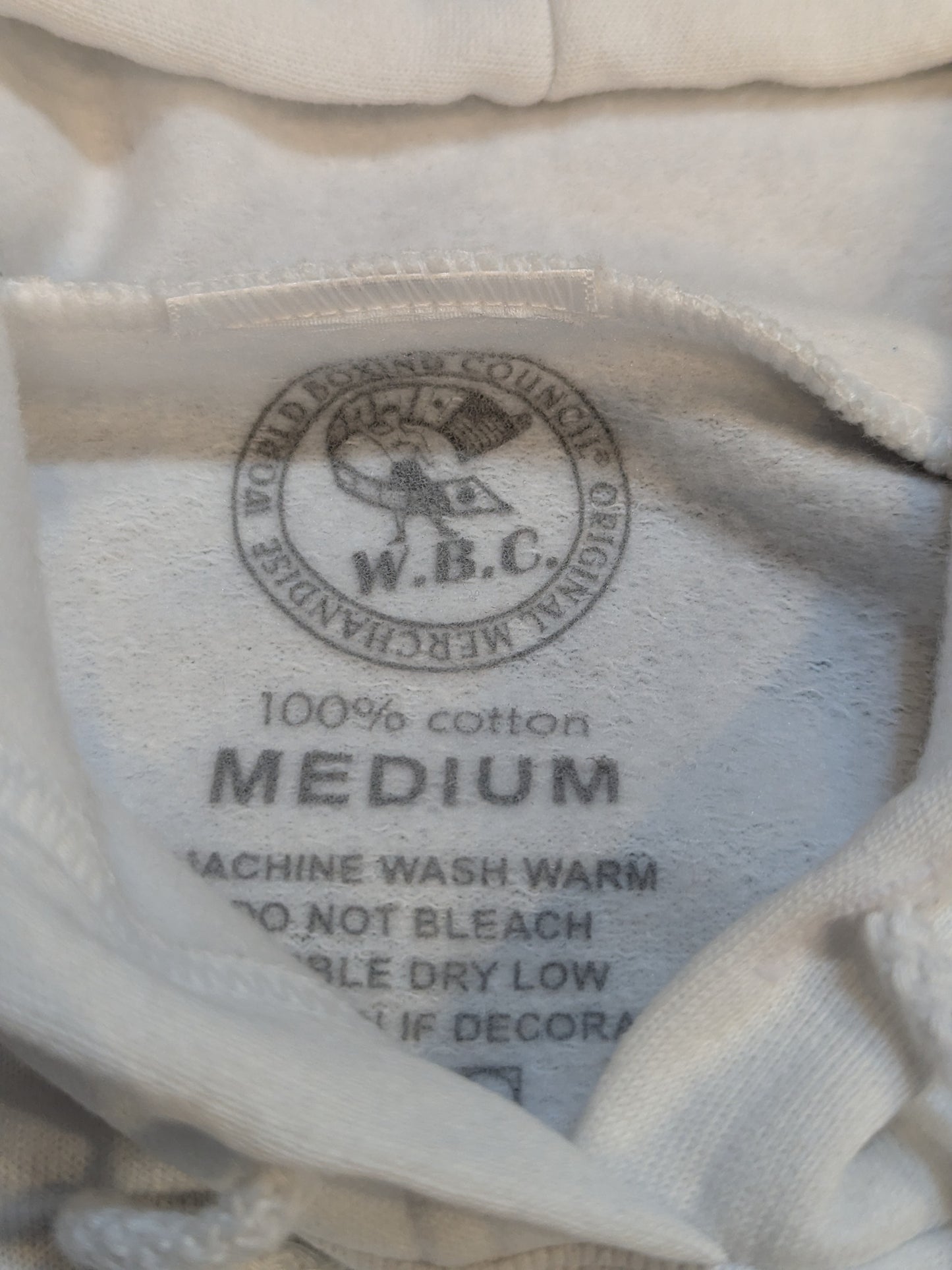 WBC "WORLD CHAMPION" Picture Pullover Hoodie  (White)