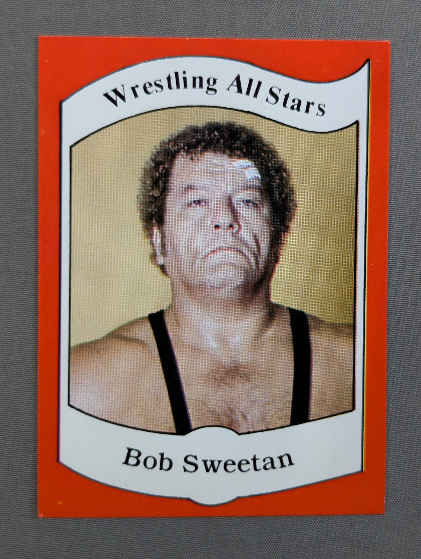 ★1983 WRESTLING ALL STARS Series A★ ボブ・スウィータン