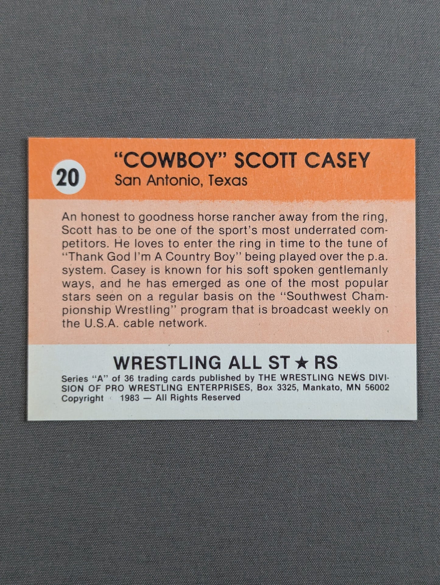 ★1983 Wrestling ALL STARS Series A★ Scott Casey