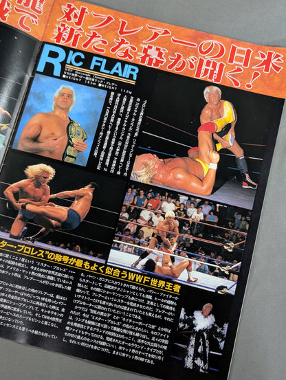 ★ Tenryu vs Flare★ SWS BATTLE MESSAGE '92