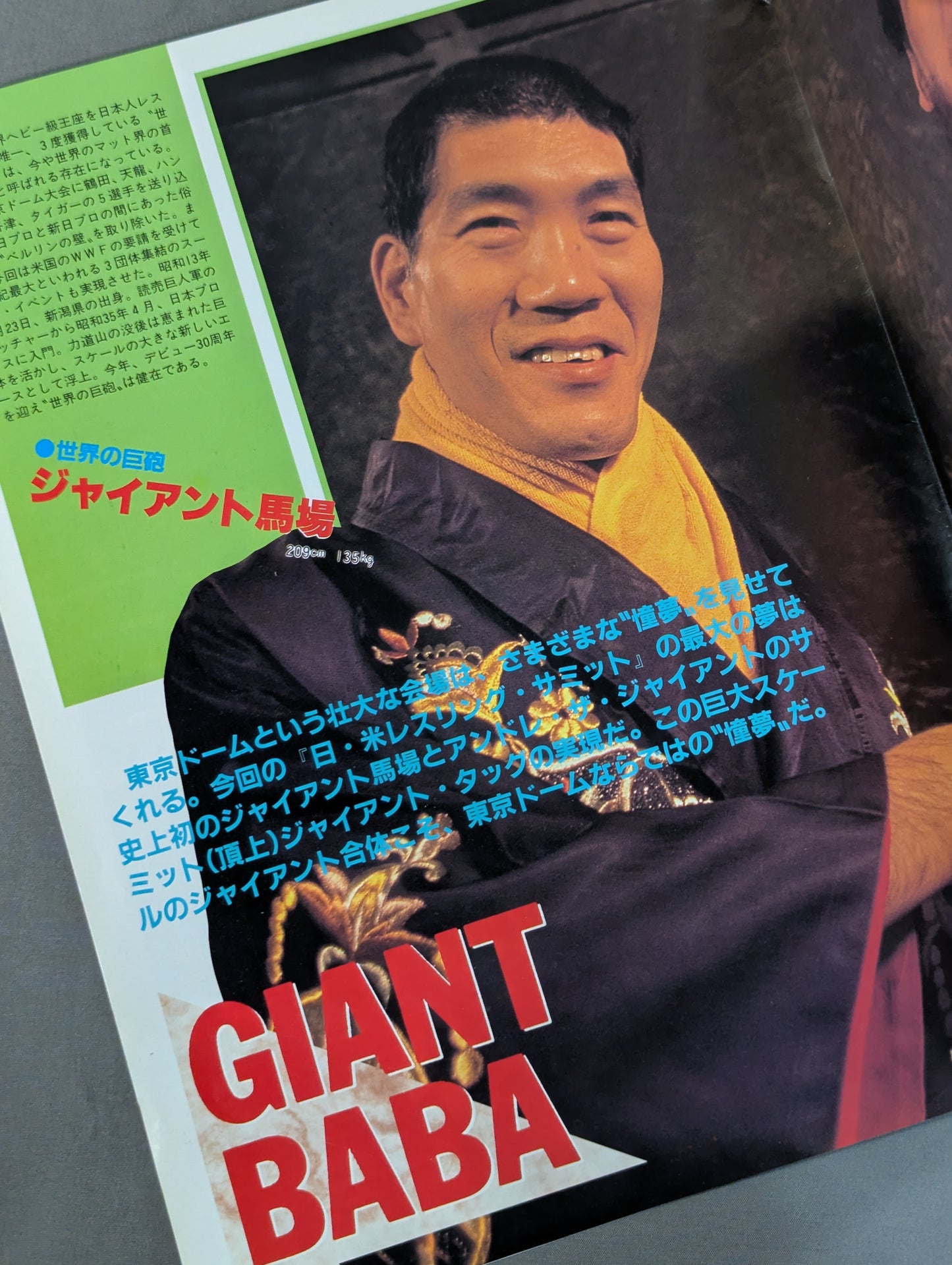 WWF, All Japan, New Japan Pro Wrestling  / Japan-US Wrestling Summit