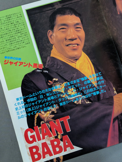 WWF, All Japan, New Japan Pro Wrestling  / Japan-US Wrestling Summit