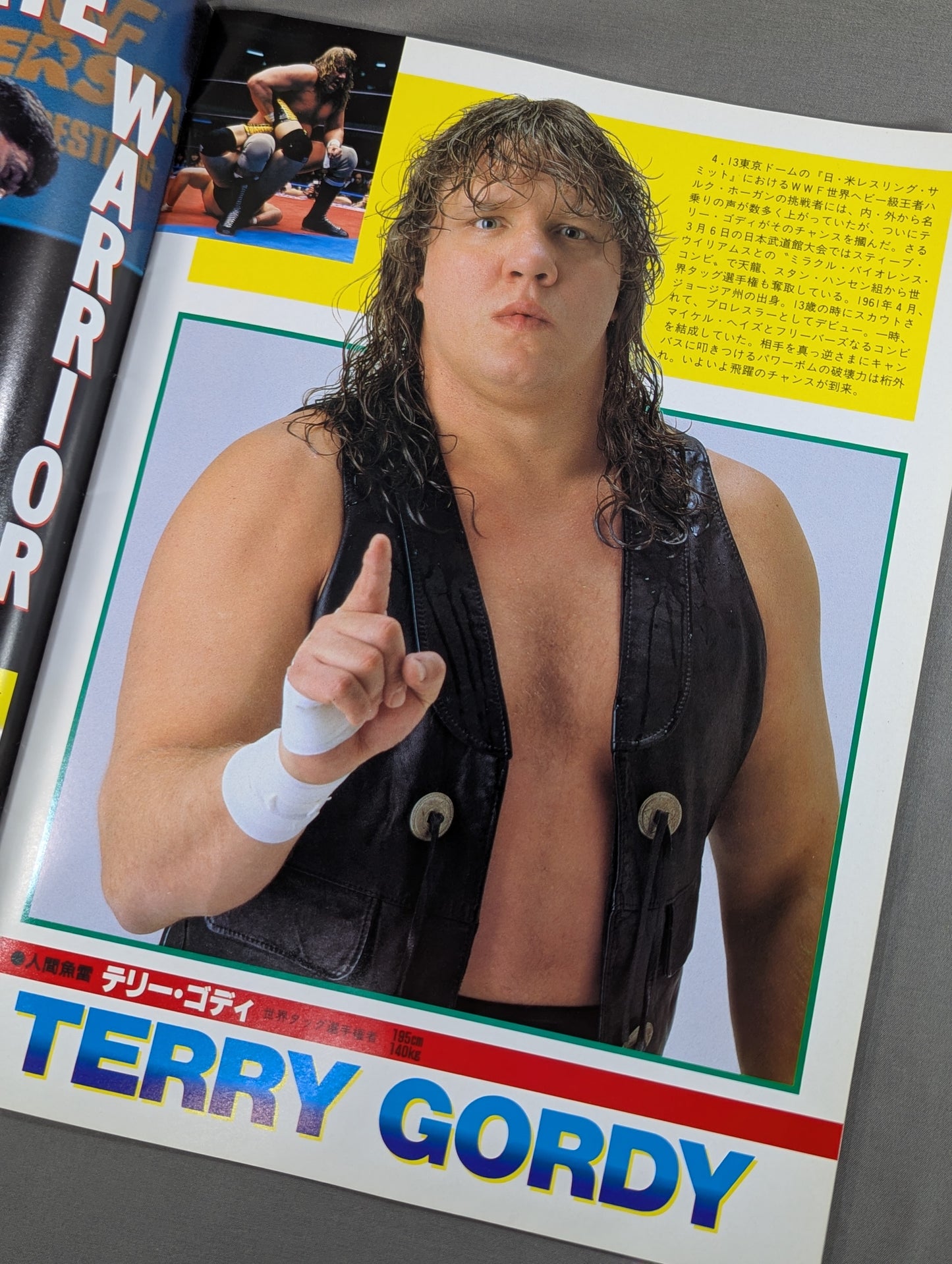 WWF, All Japan, New Japan Pro Wrestling  / Japan-US Wrestling Summit