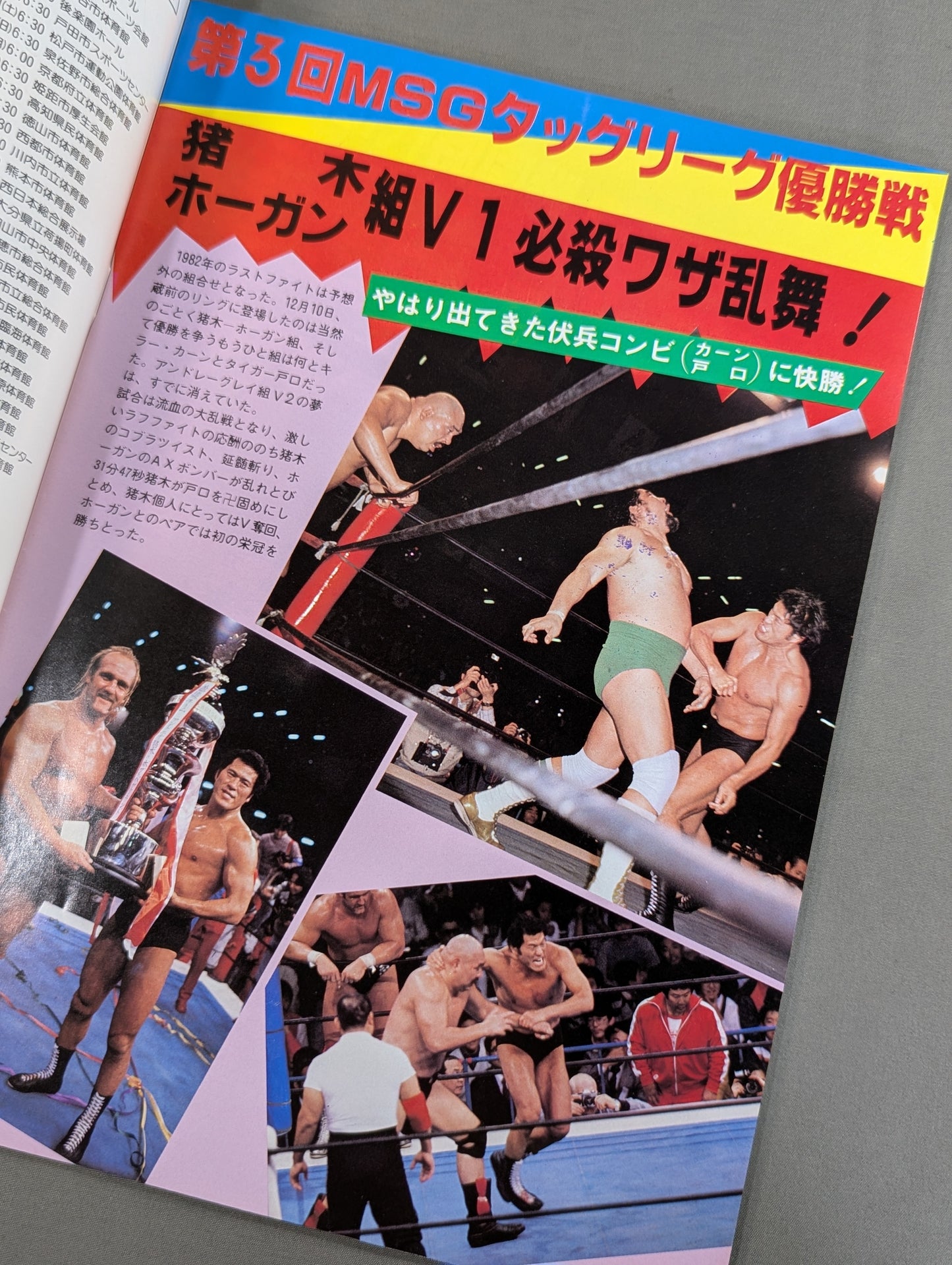 THE WRESTLER 83 New Year Golden Series Vol.14