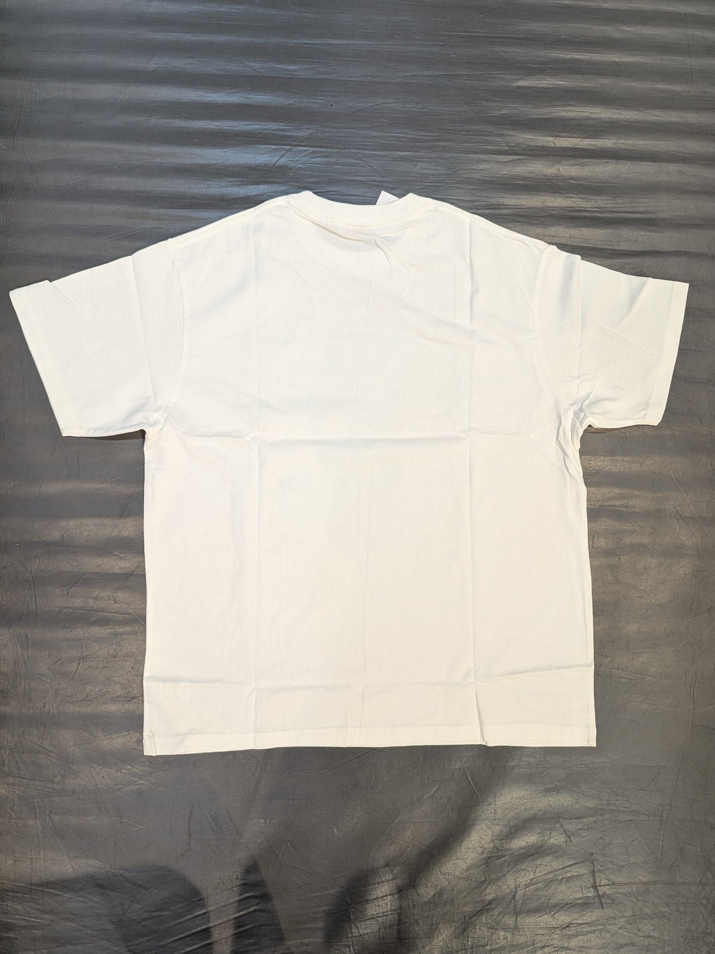 なつぽい×EDWIN「ぽいかれっじ」Tシャツ②