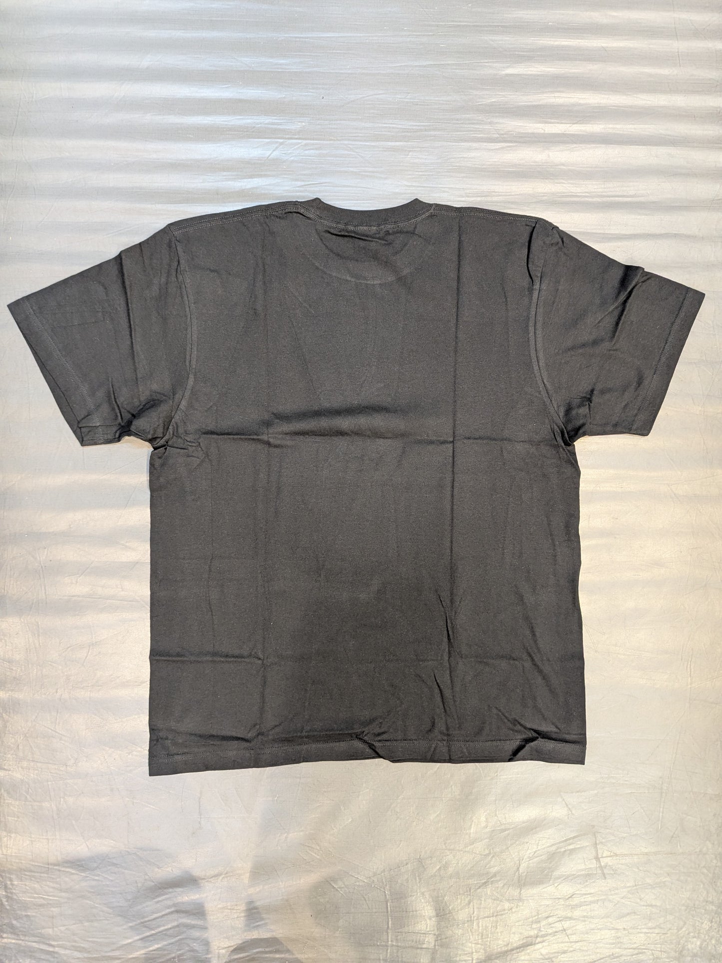 なつぽい「ぽいフェス vol.1 POIZOKU」Tシャツ②