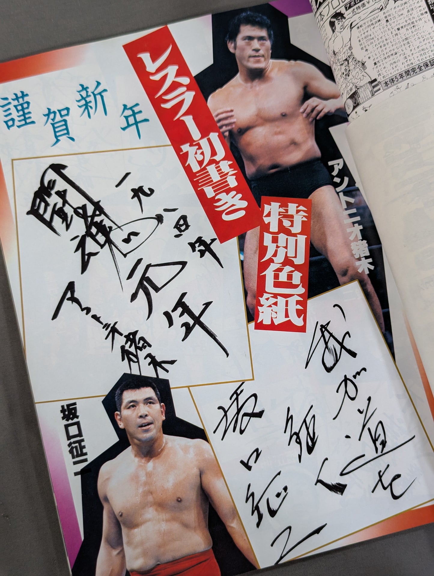 Fighting Spirit Special 6