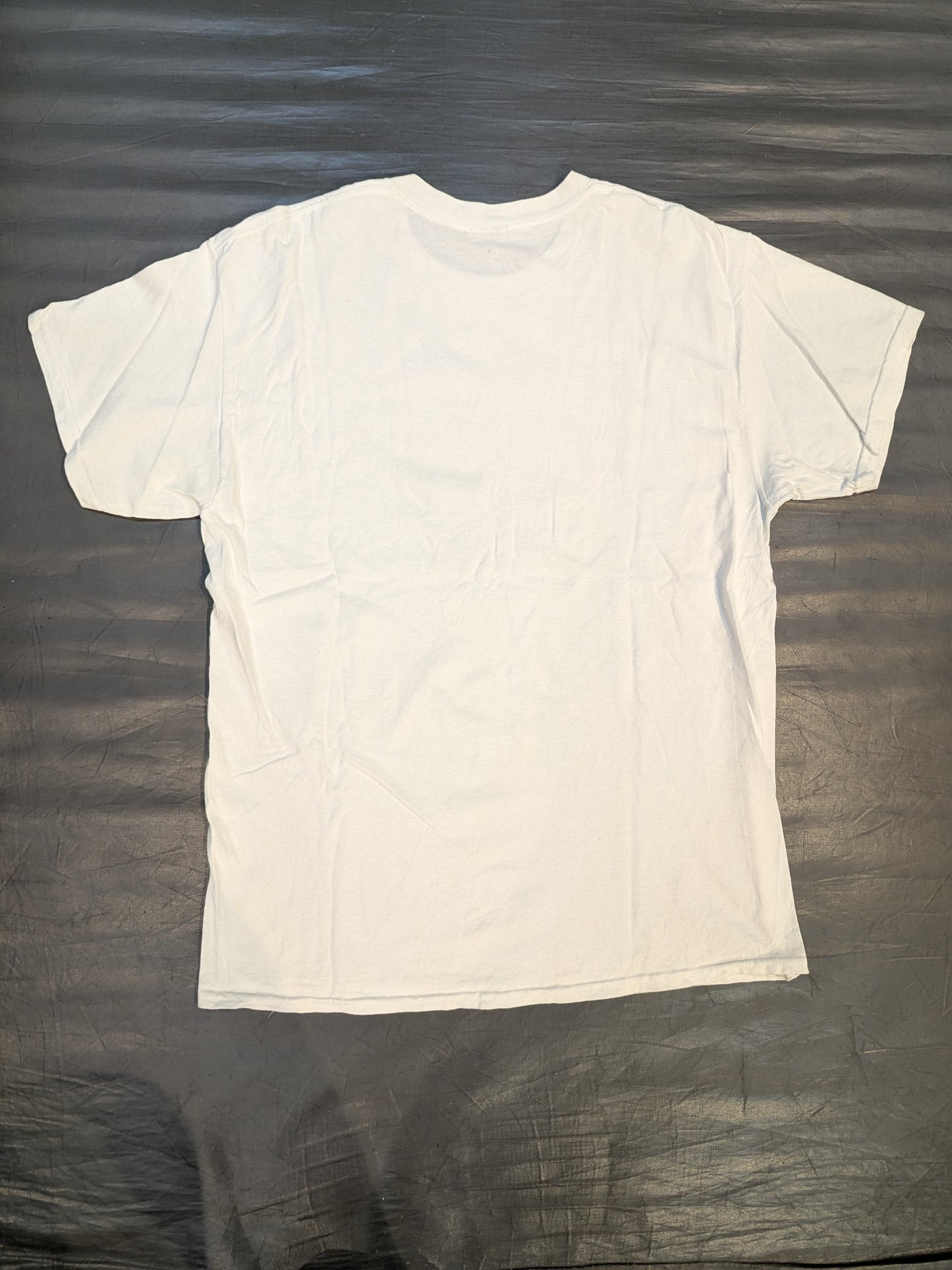 Hana Kimura  photo  T-shirt (White)