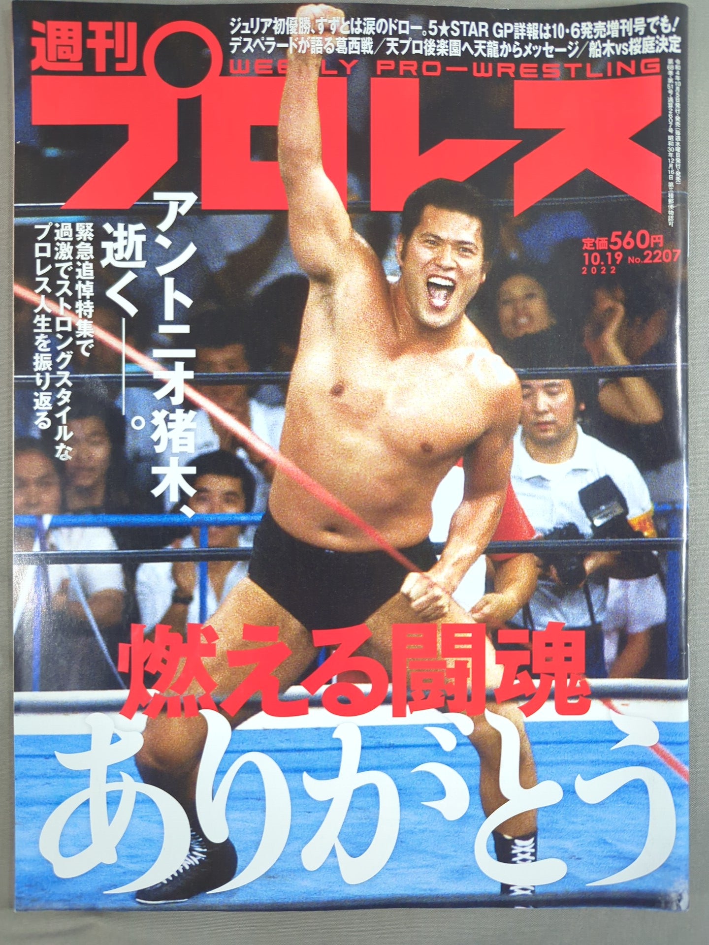 Weekly Pro Wrestling 2207