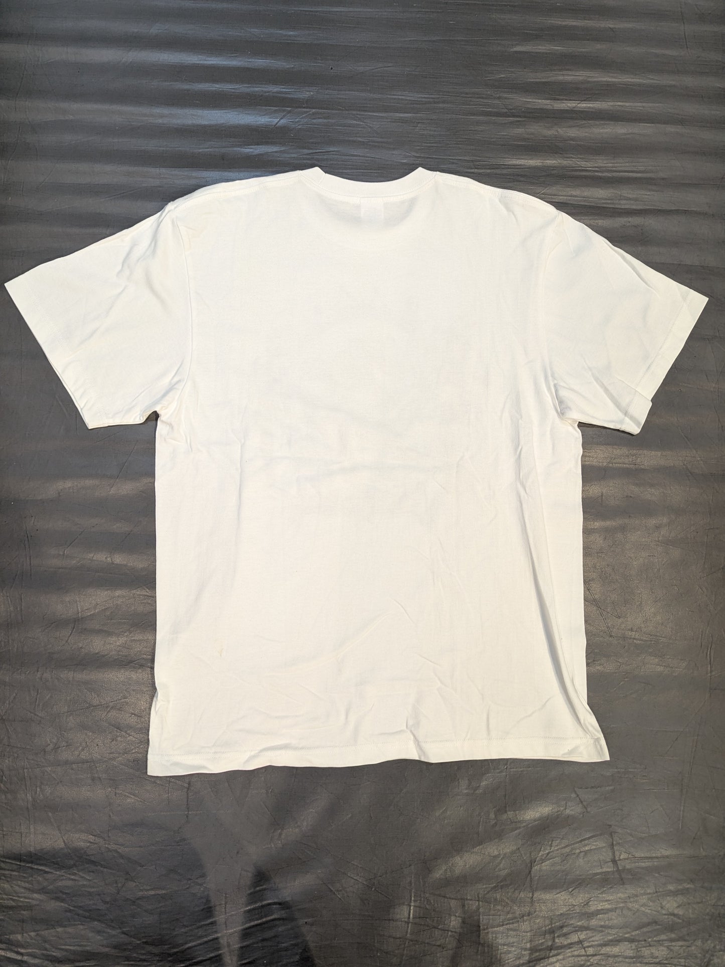 大江戸隊 ユニットフォトTシャツ(2022)