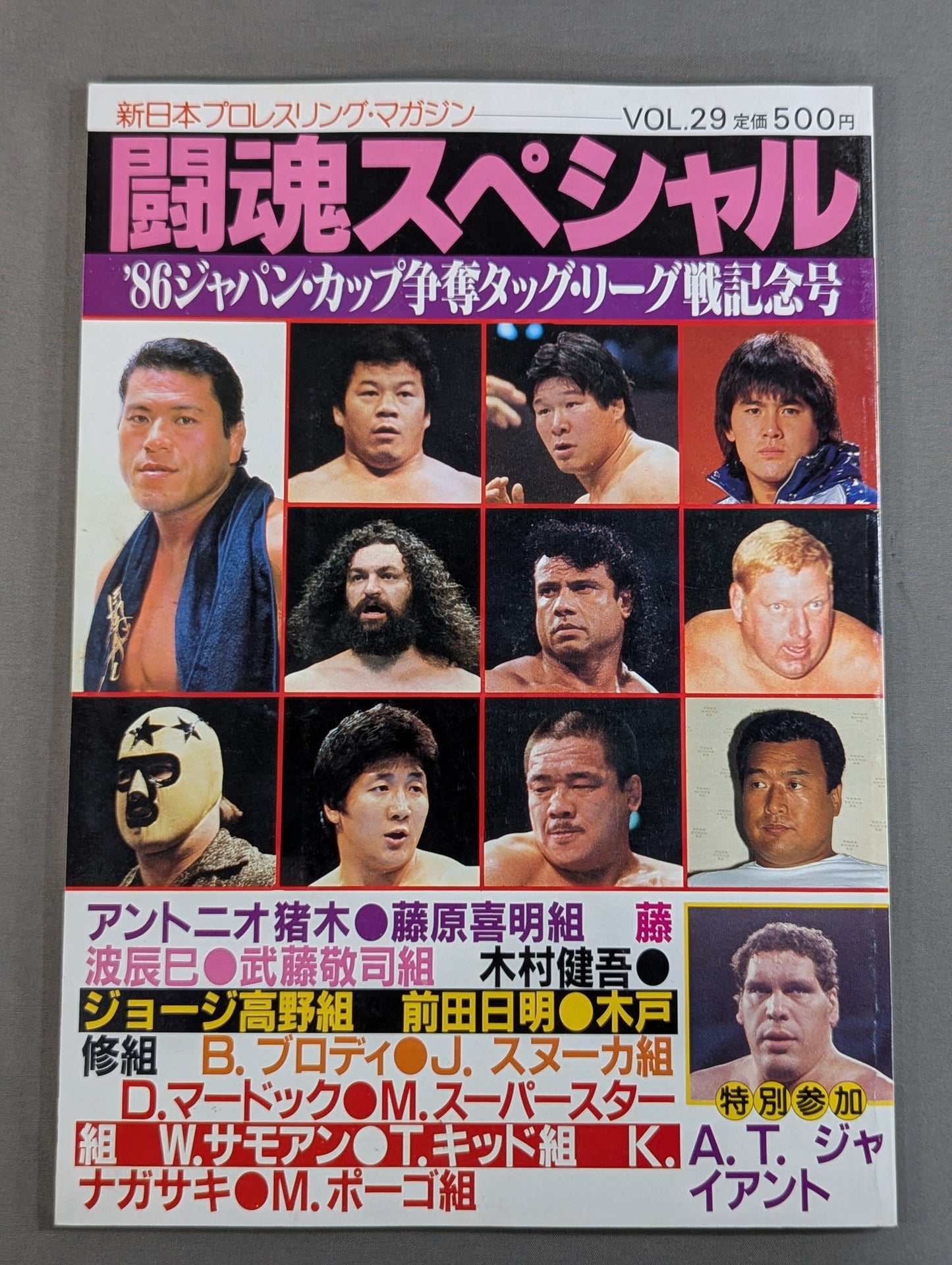 Fighting Spirit Special 29