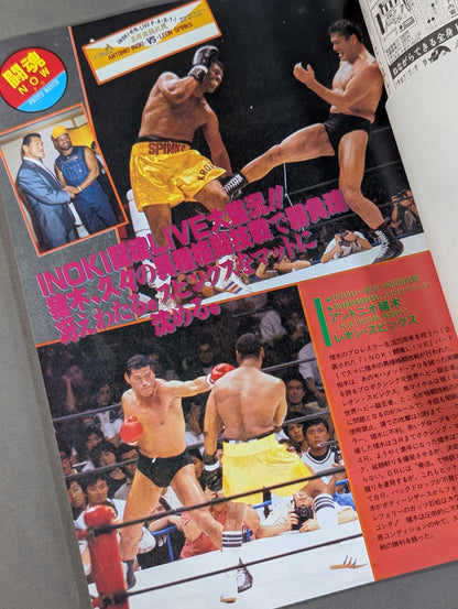 Fighting Spirit Special 29