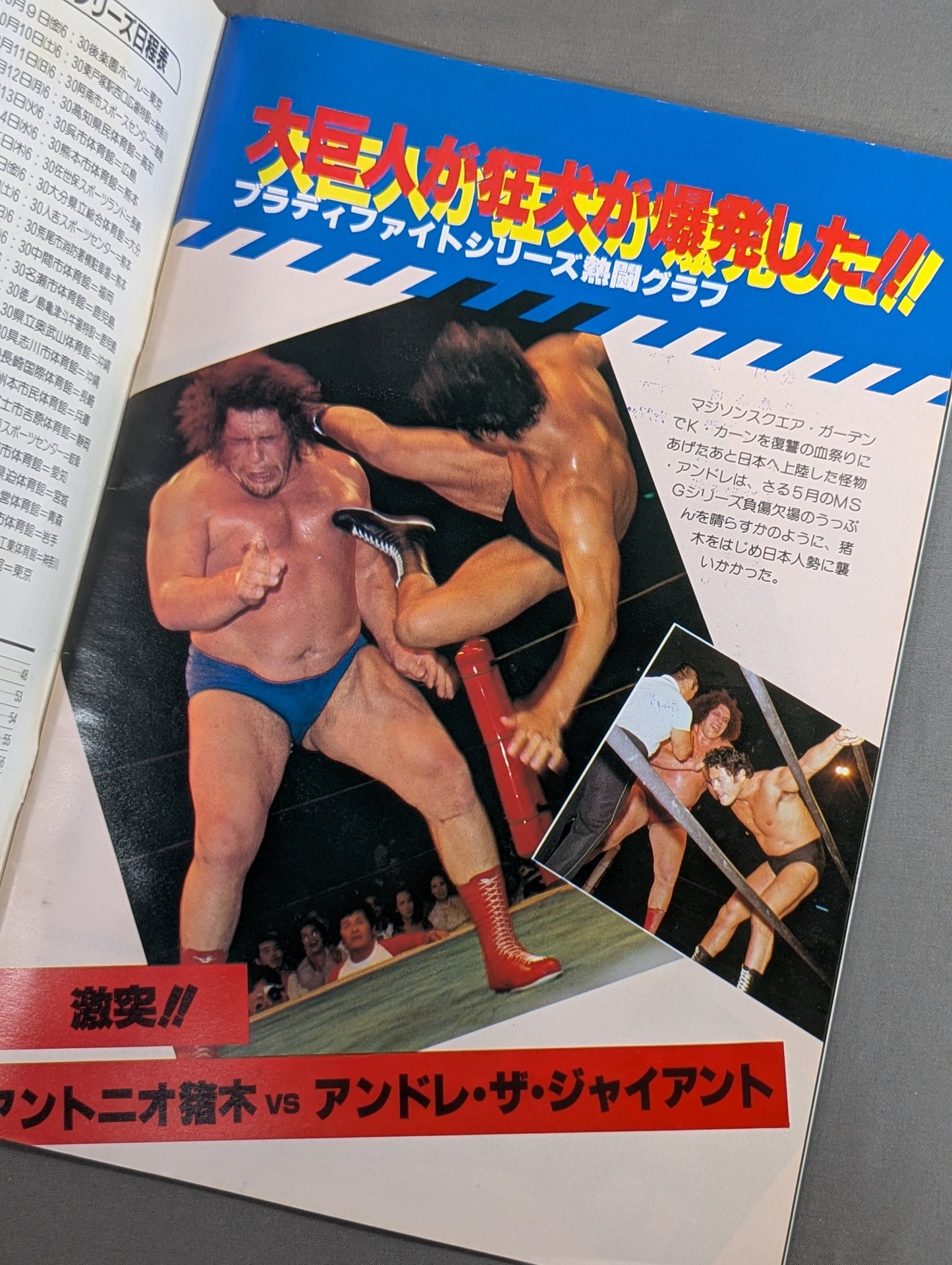 ★ランバージャックデスマッチ★ THE WRESTLER 闘魂シリーズ Vol.4